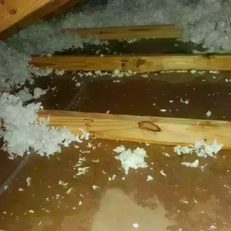 Attic Water Damage in Osborne County, KS