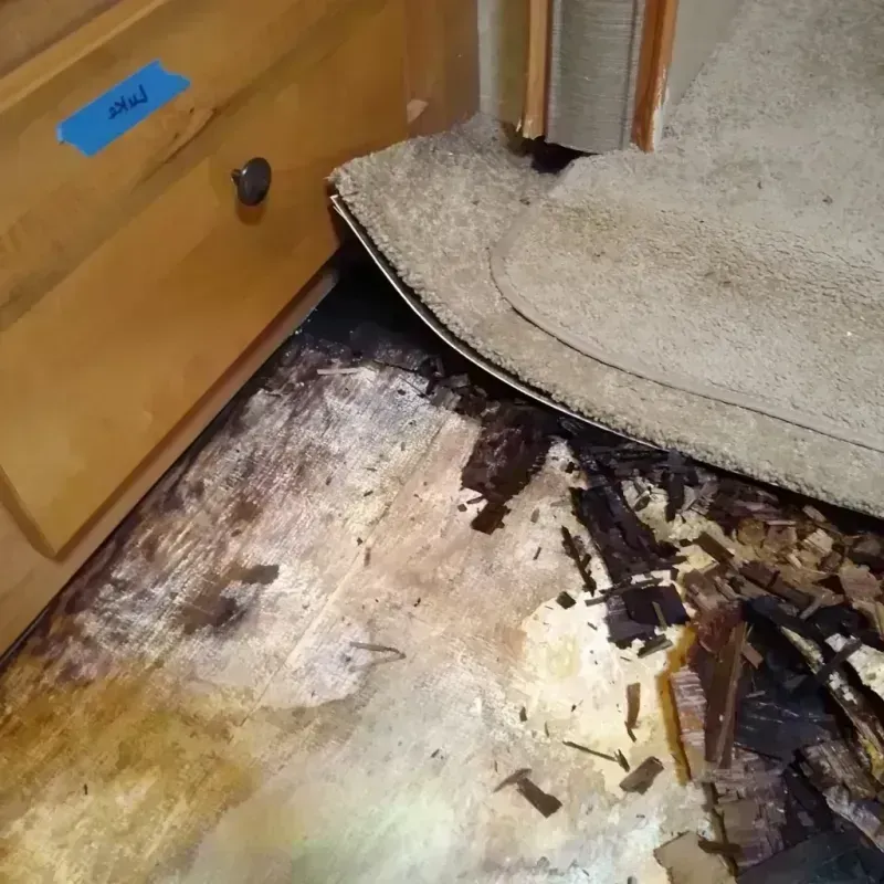 Wood Floor Water Damage in Osborne County, KS